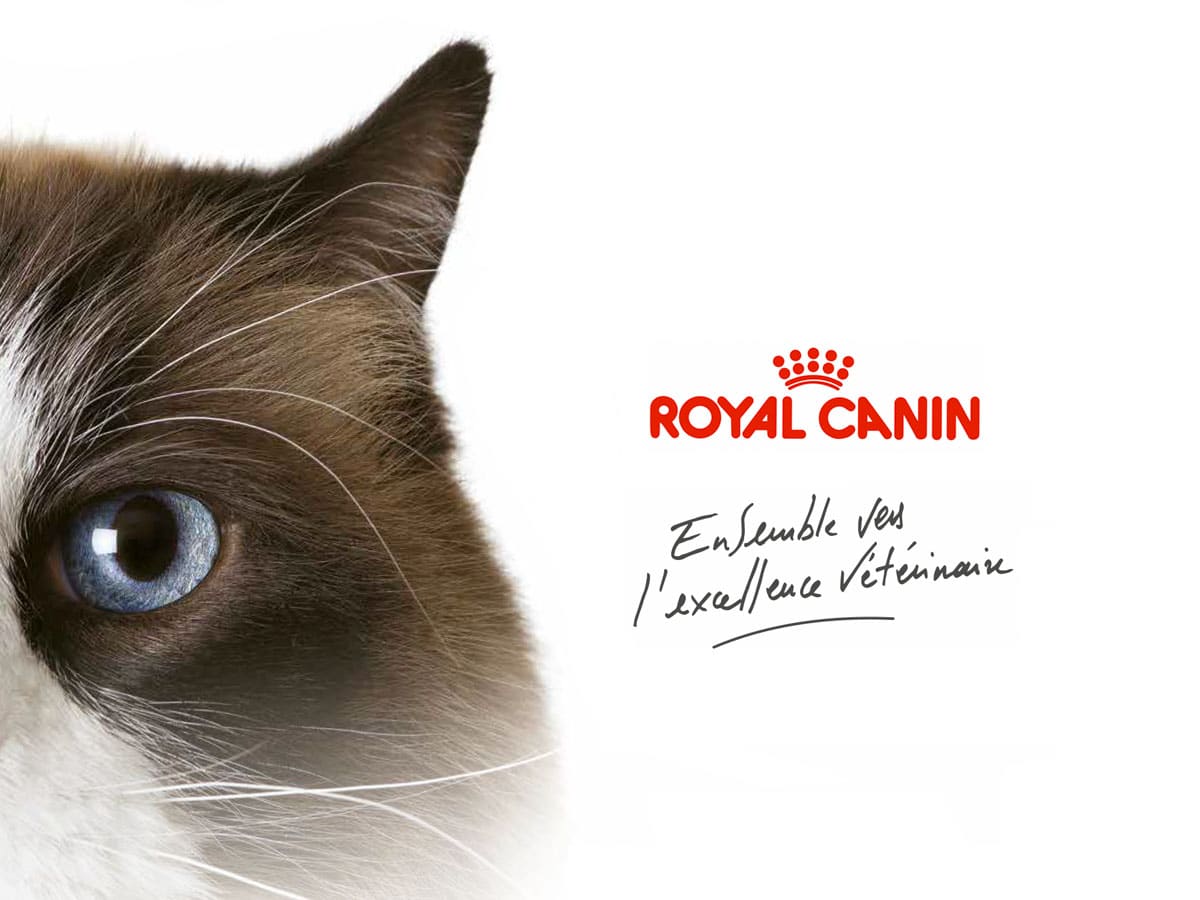 Design et communication digitale Royal Canin