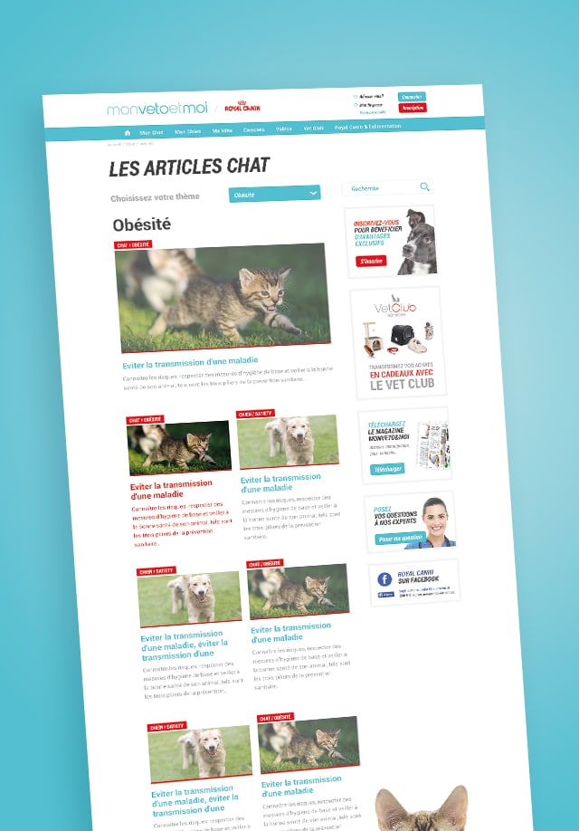 Maquette d&rsquo;&eacute;cran monvetoetmoi&nbsp;: services et contenus pour les cliniques v&eacute;t&eacute;rinaires