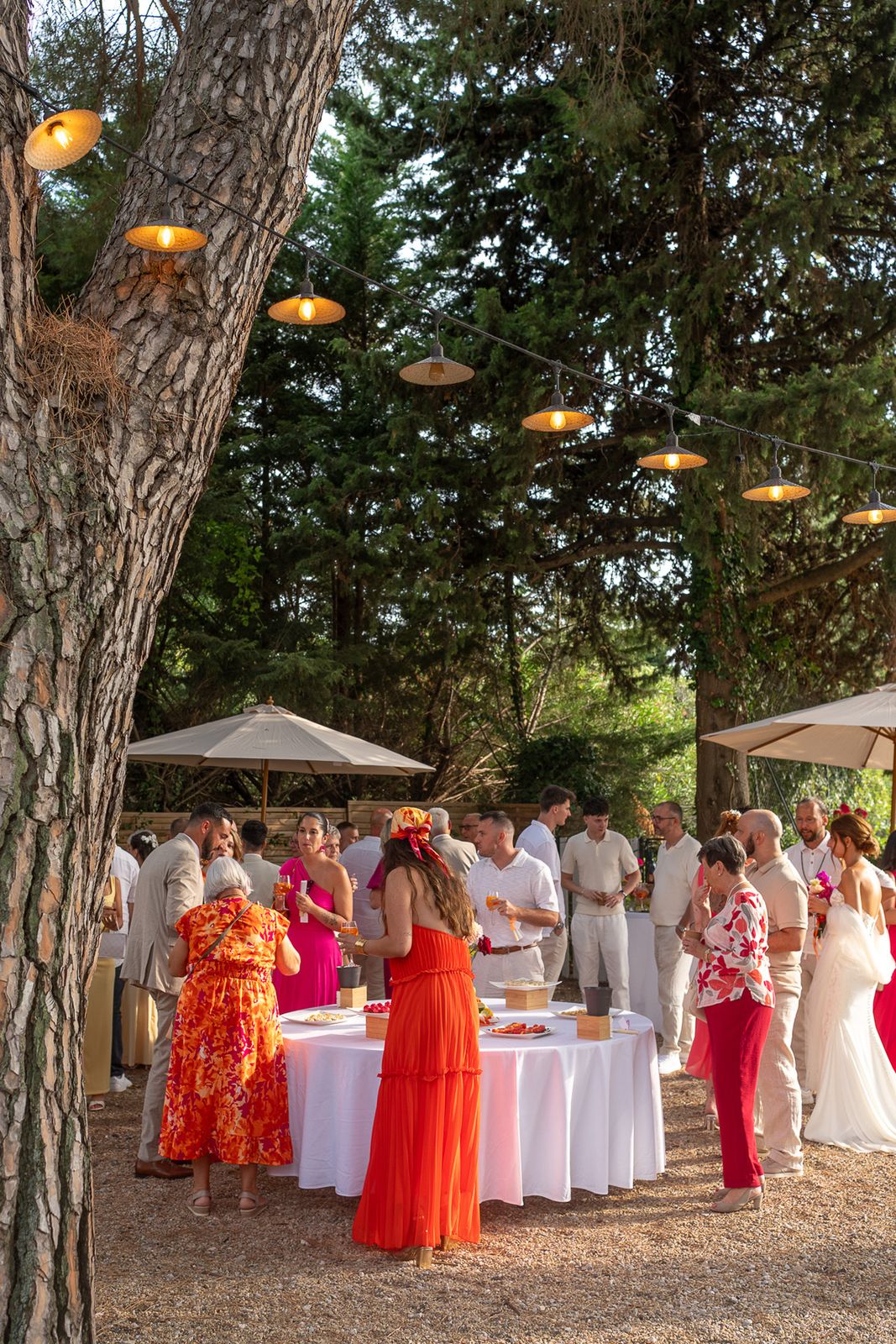 Mariage dans le Sud : lumière et décor méditerranéen
